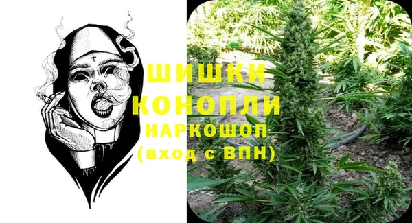 крисы Верея