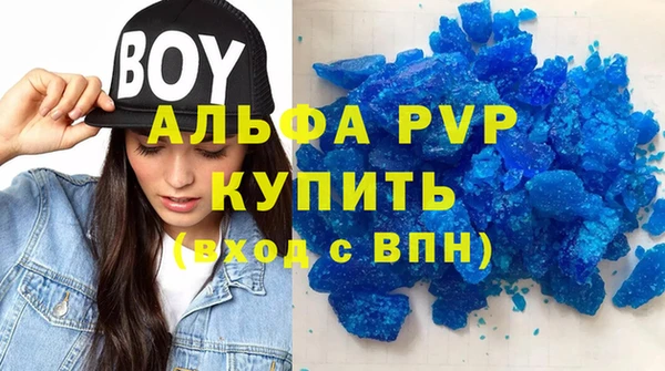 ГАЛЛЮЦИНОГЕННЫЕ ГРИБЫ Бородино