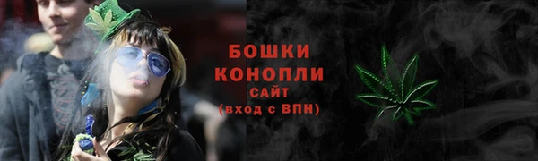 ГАЛЛЮЦИНОГЕННЫЕ ГРИБЫ Бородино