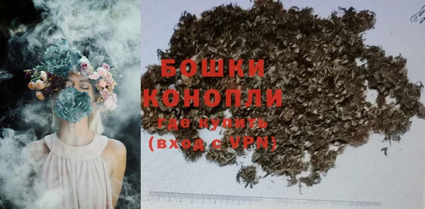 ГАЛЛЮЦИНОГЕННЫЕ ГРИБЫ Бородино