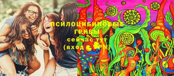 крисы Верея