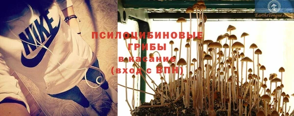 крисы Верхнеуральск
