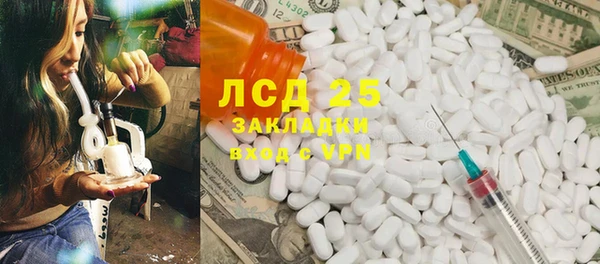 ГАЛЛЮЦИНОГЕННЫЕ ГРИБЫ Бородино