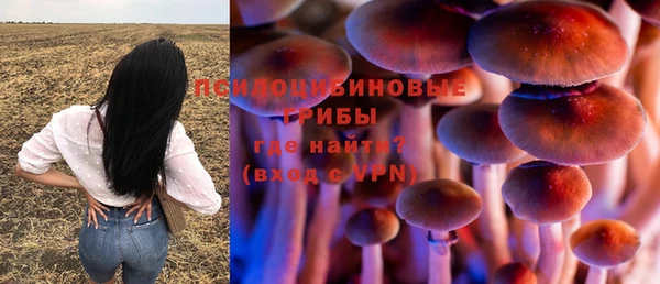 крисы Верея