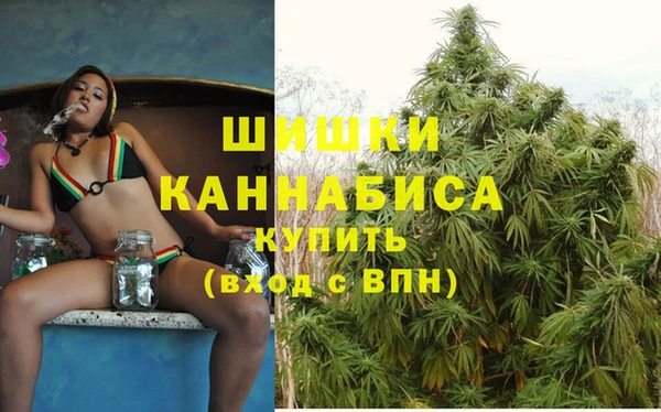 ГАЛЛЮЦИНОГЕННЫЕ ГРИБЫ Бородино