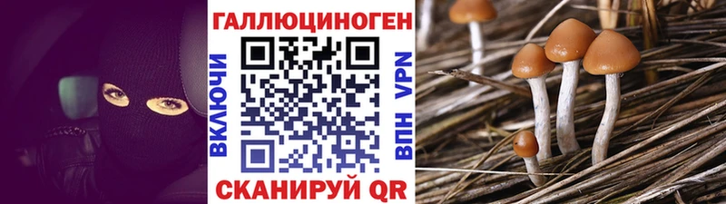 Псилоцибиновые грибы MAGIC MUSHROOMS kraken зеркало Каменск-Уральский
