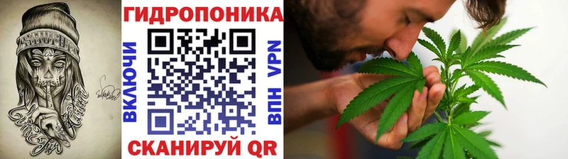Конопля план  Каменск-Уральский 